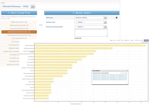 MartAnalysis. ‘MartAnalysis’ presents the user with a choice of data sets in a column on the left and a list of filters in a column on the right. The attributes are determined in advance by the administrator and cannot be changed by the user. As such, the ‘MartAnalysis’ interface is best suited for quick querying of commonly used attributes. In this example, the query result is processed to produce a histogram presentation of the most frequently affected pathways.