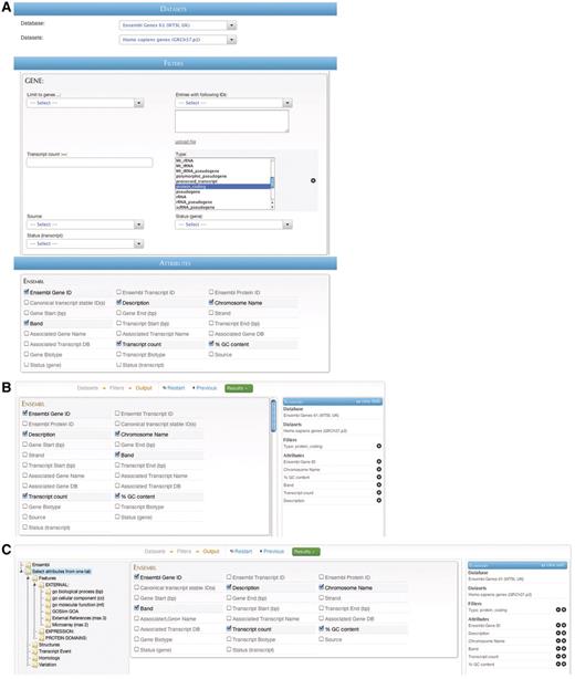 BioMart web GUIs: ‘MartForm’, ‘MartWizard’ and ‘MartExplorer’. (A) ‘MartForm’ presents, from top to bottom, a choice of data sets, filters and attributes. Filters and attributes may be organized in containers and subcontainers, and mutually exclusive sets of filters and attributes can be segregated into separate tabs. MartForm presents all options on a single page, and so is most appropriate for queries that require user-configurability, but that have a relatively small number of filters and attributes. (B) For searches with a larger number of filters and attributes, there is the ‘MartWizard’ interface. In the ‘MartWizard’ interface, data sets, filters and attributes are chosen in successive steps, each step presented on its own page. The query is summarized in the right-hand column as it is being built, and users can move between the filter and attribute pages to modify the query. Within each page, filters and attributes can be presented in containers and as in ‘MartForm’. (C) For maximum flexibility and complex querying, there is the ‘MartExplorer’ interface. As in ‘MartWizard’, in ‘MartExplorer’ data sets, filters and attributes are presented on separate pages. However, instead of being organized into containers on a single page, in ‘MartExplorer’, filters and attributes are organized into a hierarchical folder structure presented in the left-hand column on the screen. As such, ‘MartExplorer’ is most appropriate for queries with a large number of filters and attributes that are organized in a complex directory structure.