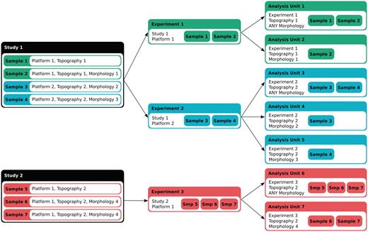 Data annotation and classification. Each sample assay in a study is annotated for the platform and the ICD-O topography and morphology terms. An experiment in IntOGen consists of a set of assays coming from the same study that have been performed with the same platform. The analysis pipeline then generates overlapping groups of assays from the same experiment in ‘analysis units’ in two ways, 1) according to the topography and the morphology, and 2) according to the topography (with the morphology annotated as ‘Any morphology’).