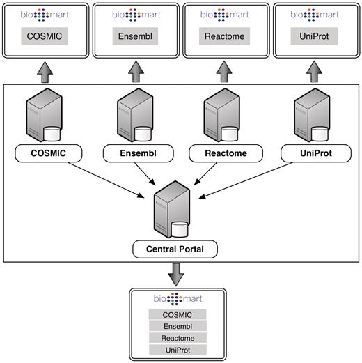 Each individual server hosts its own instance of BioMart retrieving data from its own local database backend. Central Portal offers a unified access point to all of these databases, distributing queries to the appropriate servers.