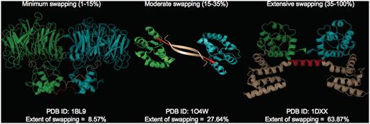 Different classes of ‘ES’ with representative examples (PDB IDs: 1BL9,1O4W and 1DXX). Individual chains are colored in cyan and green. Hinge (red) and swapped regions (brown) are mapped in different colors.