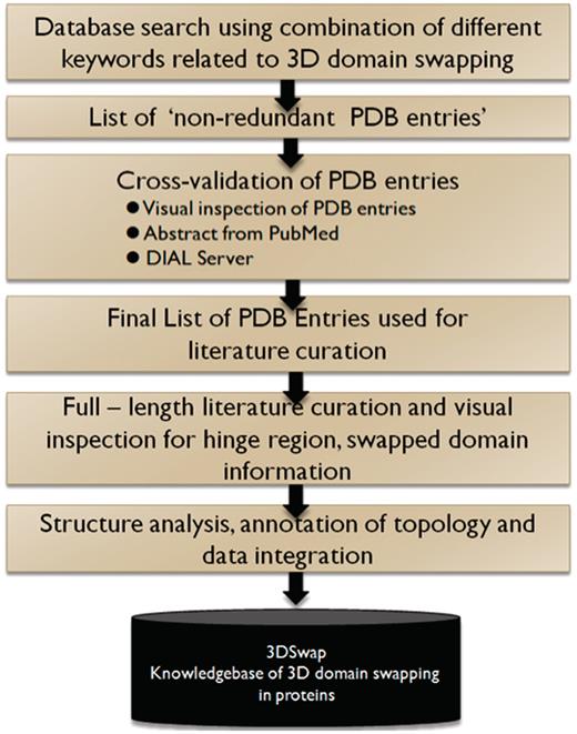 A schematic representation of curation steps involved in the development of 3DSwap knowledgebase.