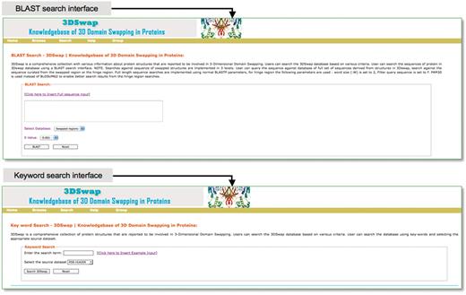 Search interfaces of 3DSwap.