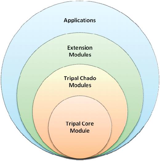 Tripal is designed in hierarchical layers. The baseTripal package consists of the Tripal core and Tripal Chado modules. Extension modules use the Tripal Core and Tripal Chado Modules and provide additional functionality not provided by the base package. Applications use a combination of the Core, Chado and extension modules, as well as, other Drupal modules.