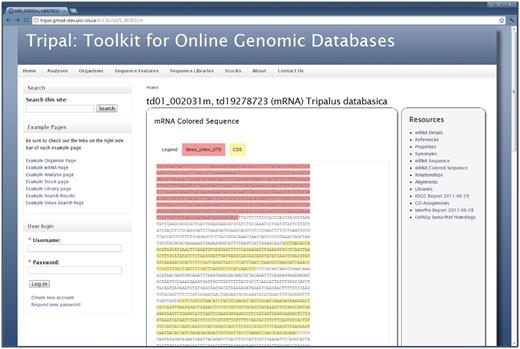 The feature page. Similar to the organism page, the right sidebar of the feature page provides a list of available data for a genomic sequence. Here the genomic sequence for an mRNA feature is shown. This is viewable by clicking the ‘mRNA Colored Sequence’ link. Visitors can also view synonyms, properties, alignments and external references for the feature. Library information will be viewable if the feature is derived from a library. Analyses results are also available on this page. In this example, BLAST homology results against the ExPASy Swiss-Prot database, InterProScan and KEGG/KASS results are available for viewing. Site administrators may customize which links are shown and can change the wording on many of the data views to better fit their community by editing the Tripal template files. Here the default look-and-feel is shown.