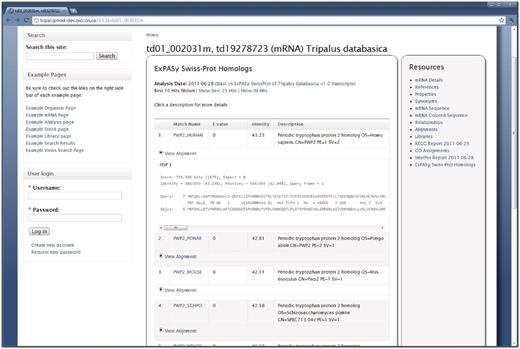 BLAST results for a feature. The Tripal Analysis BLAST module provides a summary of BLAST homology results on the Feature page. This example is for a feature that was compared to the ExPASy Swiss-Prot protein database. At first glance visitors view the match, e-value, percent identity and a description of the matching sequence. The actual alignment can be seen by clicking the ‘View Alignment’ link under each match. By default only the top 10 results are shown, however, visitors can choose to see the top 25 or all of the matches by clicking the appropriate links at the top of the report. The name given to the BLAST analysis is also visible at the top of the report. Visitors can find more information about this blast job by visiting the BLAST Analysis page by clicking the analysis name.