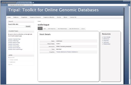 The Stock page. As shown, the Stock page is similar to the Organism and Feature pages in that a visitor first views basic details describing the stock. The right sidebar provides information for the given stock including references to the stock in other databases, additional properties for the stock (such as comments), synonyms and relationships with other stocks. The tabs above the stock details allow privileged users to edit the basic details and add, update or delete properties, references or relationships for the current stock. These tabs are not present for non-privileged visitors. As with other pages, the site administrator may tailor the look-and-feel of this page by editing the appropriate template files. In this example, the site administrator is logged on. A navigation box appears on the bottom-right hand side that provides administrative access to the site.