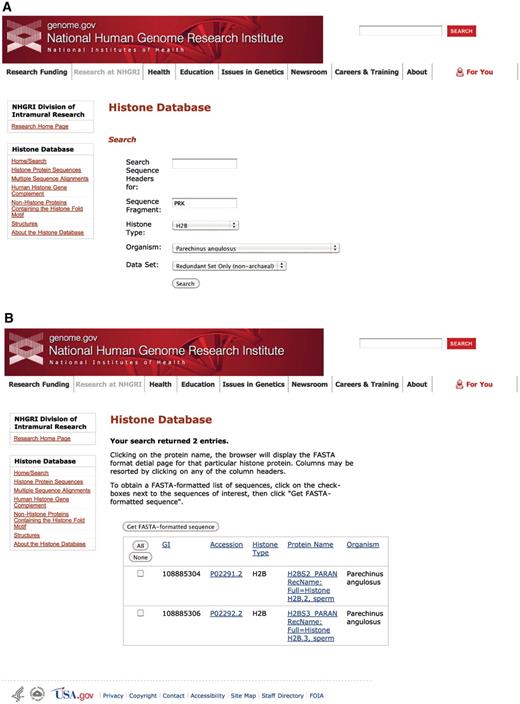 Histone Database query and results. The Histone Database main page displays a search engine that allows users to find histone sequences from a large variety of organisms. Additionally, users have the possibility of exploring other features to access complete collections of Histone Protein Sequences, Multiple Sequence Alignments, The Human Histone Gene Complement, Non-Histone Proteins Containing the Histone fold Motif and Histone Structures. The upper panel shown (A) presents the criteria used for the query, which requires the sequence to contain a fragment with amino acids PRK from the angulate sea urchin (Parechinus angulosus) histone H2B. The search results presented in the lower panel (B) include two protein sequences that meet the criteria specified by the query.