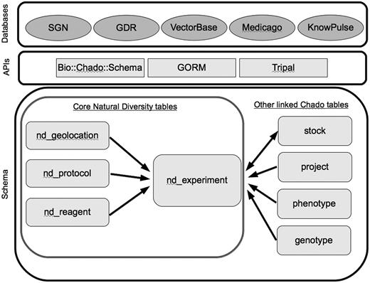 Core tables in the Natural Diversity module, and directly linked tables from other Chado modules. Databases are the five member organizations of the Natural Diversity development working group, and the APIs are some of the solutions currently used for interacting with the Chado schema.