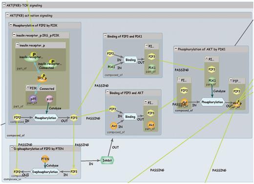 INOH pathway. Each blue window represents event of different granularity, and green window represents molecular complex. Light blue hexagons are Process nodes that show molecular interactions, and green hexagon is EventRelation node that shows positive/negative indirect relation between events.