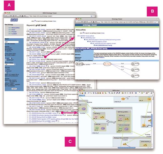 Screenshot of Ontology Viewer. (A) Example of search result. (B) Attribute and ontology hierarchy view. (C) Example of INOH pathway data accessed through INOH Ontology Viewer.