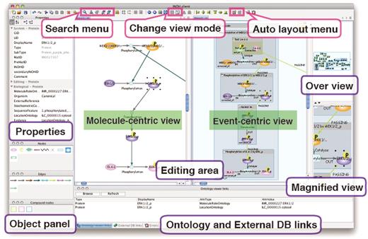 Screenshot of INOH Client. Window consists of five areas; tool panel (Objects and Properties panels), diagram editing area, over view area, magnified view area and external DB links area. User can search and download pathways, and pathways can be then modified and saved. When switching from normal view to reduced view in toolbar, picture focusing on molecular transition is displayed in diagram editing area.