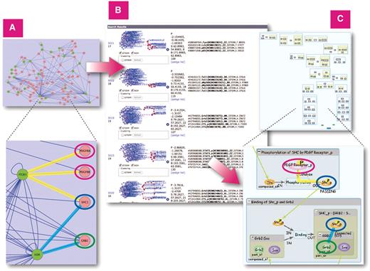 Similarity Search on all INOH pathways using large protein–protein network query. (A) Protein–protein network related to acute allergic diseases displayed in Cytoscape. (B) Results of similarity search on INOH pathways using network as query. (C) Example of INOH pathways that have similar molecules and interactions in protein–protein network dataset. Similar molecules and interactions are highlighted with same colors in (A) and (C). These results can be found here. http://www.inoh.org/similarity-search/project.php?session=1&pid=526.