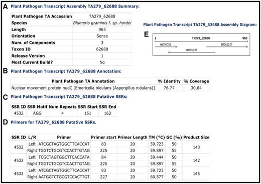 Example of a CPGR plant pathogen transcript assembly. (A) Summary metrics on Blumeria graminis f. sp. hordei TA279_62688. (B) Annotation of TA279_62688. (C) Putative simple sequence repeats for TA279_62688. (D) Primers predicted with Primer3 for putative SSR 4532. (E) Assembly diagram for TA279_62688.