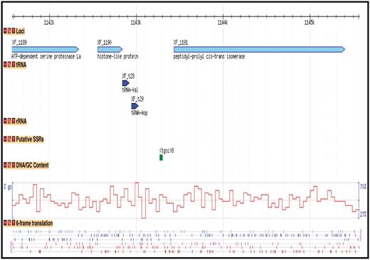 Display of bacterial genome through Genome Browser. A region of the Xylella fastidiosa 9a5c chromosome is displayed with tracks representing the loci, tRNA genes, putative Simple Sequence Repeats, GC content and 6-frame translation.