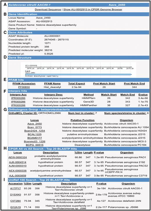 Gene Report Page for Acidovorax avenae subsp. citrulli AAC00-1 Aave_2450. (A) Hyperlinks to download gene sequence and genome browser display of the locus. (B) Locus name, functional annotation and gene name (if available). (C) Gene attributes including molecule location (chromosome, plasmid), coordinates and protein metrics. (D) Gene structure. (E) Pfam domain matches with scores. (F) InterPro hits including position of matches and E-value. (G) Orthologous groups from β-Proteobacteria clustering. (H) BLASTP search results from an all versus search of bacterial proteins within the CPGR. (I) Partial listing of UniRef100 top matches.