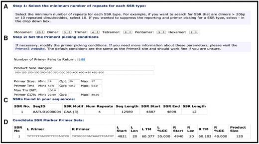 Simple Sequence Repeat search tool. (A) Selection options for SSR type and length. (B) Primer selection criteria for putative SSRs. (C) SSR Report page showing SSRs identified, motif, number of motifs and position of start/stop. (D) Predicted primers for putative SSR.