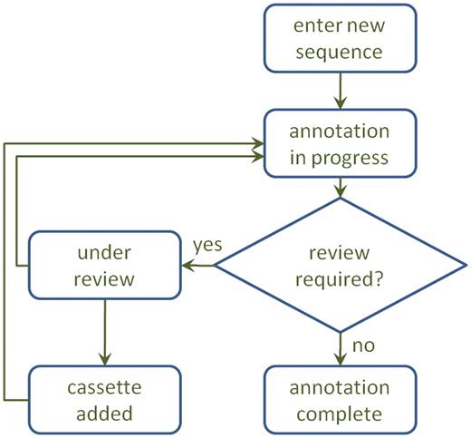 A diagram of the annotation process. After annotation, a sequence may be sent for review, which may result in a manual adjustment to the annotation and/or inclusion of a new cassette in the database.