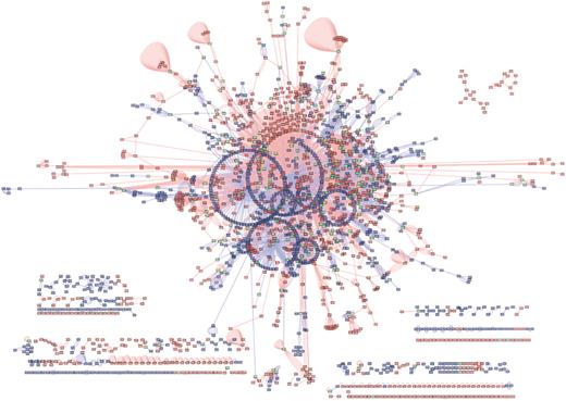 Union of BIND and IntAct interactions for species Rattus norvegicus (taxid: 10 116) as extracted using the PSICQUIC plugin for Cytoscape. Blue edges are interactions from IntAct, red edges are interactions from BIND. Blue nodes are interactors in IntAct only, red nodes are interactors in BIND only and green nodes are interactors shared by the two networks. BIND contains 1103 nodes not in IntAct. IntAct contain 984 nodes not in BIND. The two interaction networks share 217 nodes.