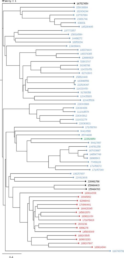 Phylogenetic tree for the homologous family I1 (Bilirubin oxidases).The chosen coloring option is ‘by kingdom’. Entries of bacterial origin are shown in blue, fungal entries in red, plant proteins in green and non-specified entries are colored in black.