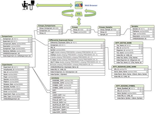 Entity relationship diagram of ParkDB. The scheme illustrates the tables created for data storage with the respective attributes and relations. The simple relations between the tables facilitate the possible expansion of the database to other genes involved in PD neurodegeneration and dopaminergic differentiation.