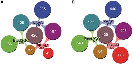Comparison of the EC annotation by different methods in AcypiCyc. (A) Reaction annotation by EC methods. Venn-diagrams showing the number of reactions (total of 1176) identified in the metabolic reconstructions using data from the different annotation methods [PRIAM, KAAS (two methods), Blast2GO-EC], the total number of reactions annotated by each method is specified in black below the method name, while specified in white is the number of unique or shared reactions among annotations. (B) Gene annotation by EC methods. Venn-diagrams showing the number of genes (total of 2281) annotated using the different methods [colour code for annotations as in (A)]. Note: multiple genes may catalyse a single reaction. This figure was generated using Aduna Cluster Map - http://www.aduna-software.com/technology/clustermap.