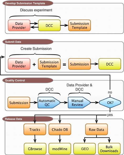 DCC workflow. Submitting data to the modENCODE DCC can be divided into four parts. It begins with discussions between a data provider and a DCC curator to determine the required metadata and data formats for a given category of submission. Once the submission template is made, the data provider can prepare and submit a data set to the DCC. The data set undergoes a series of automated and manual QC checks. If the submission does not pass these steps, it is returned to the data provider and/or the DCC curator for modification. Once a submission satisfies all requirements, and is approved by the DCC and data submitter, it is distributed to the community through the GBrowse genome browser, modMine query interface, graphical submission filtering tool and the public repositories of FB, WB and GEO.