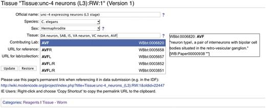 Screenshot of a modENCODE wiki tissue page using DBFields template. In this example, WormBase cell and anatomy ontology (24) terms are selected to describe unc-4 expressing neurons in the L3 stage. The DBFields template for tissues was configured to include fields for a colloquial name, species, sex, tissue, contributing lab and related external URLs. The tissue field allows for multiple selections from the configured ontology; as the user starts to type a phrase (such as AVF), partial matches are displayed for selection and the corresponding definition is displayed on the right. After the user ‘Updates’ the form to accept the changes, an updated URL is displayed for the user to refer specifically to this version of the wiki page. This URL is used in the BIR-TAB metadata documents to describe the sample, and the vetting software retrieves the field values during processing.