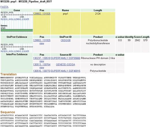 Details page. The details for some features of a coding sequence are shown. Up to five overlapping feature types may appear: gene, protein, protein domain, signal peptide and transmembrane structure. The target feature is highlighted in yellow. The nucleotide and amino acid sequences for this feature appear at the bottom of the page. All features on the page include links to their coordinates in GBrowse genome viewer.