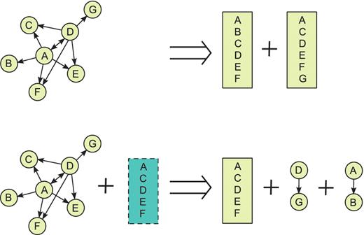 ppiTrim uses two procedures for complex deflation: pattern detection (top) and template matching (bottom). As an example, assume that a graph ABCDEFG, shown on the left, could be constructed from complex candidate interactions annotated by the BioGRID from a single publication. The arrows indicate bait to prey relationships, with the interaction A–D being repeated twice, once with A and once with D as a bait. Pattern-detection algorithm (top) would recognize A and D as hubs of potentially spoke-expanded complexes and thus replace all pairwise interactions on the left with complexes ABCDEF and ACDEFG. Suppose that the complex ACDEF was reported from the same publication by a different database. Then, template matching procedure (bottom) would generate the complex ACDEF (with all other annotation, such as experimental detection method, retained from the original interactions) and remove all original interactions except D–G and A–B. After performing both procedures, ppiTrim consolidates the results so that the overall result would be replacing the original interactions by complexes ACDEF, ABCDEF and ACDEFG with edge type codes `R', `A' and `A', respectively. The interactions A–B and D–G would not be retained since they are contained within the deflated complexes ABCDEF and ACDEFG.