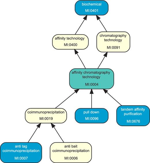 The picture shows a part of the PSI-MI ontology graph for interaction-detection method associated with a hypothetical cluster of source interactions involving the same interactants from the same publication. The terms colored blue are associated with the source interactions within the cluster, while those marked yellow and green are present in the ontology but do not label any source interaction from the cluster. The entire cluster as shown is consistent, with the term MI:0401 as the maximal element. Its finest consistent term is MI:0004 (colored green) since the cluster members smaller than it are not comparable between themselves. Removing the source interactions labeled by MI:0401 from the cluster would result in three distinct subclusters. If two subclusters contain no interaction from the same source database, they would be reported as conflicts.