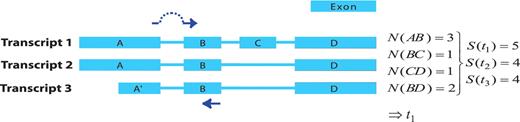 Visualization of the junction score algorithm concept for gene- or transcript-specific primer design. A schematic representation of a gene with three alternative transcripts is depicted. The blue boxes represent exons, the lines represent introns. Each transcript contains a subset of exons A–D and A′. The junction score (N) constitutes the number of transcripts containing the respective splice junction. To design gene-specific primers, the sum of the junction scores, represented by S, is calculated for each transcript and the transcript with the highest S-value that contains the junction with the highest N-score is selected (here t1). Then, the gene-specific primers are preferentially designed so that one of the primers spans the exon junction with the highest N-score within the selected transcript (t1), as indicated by the dark blue arrows.