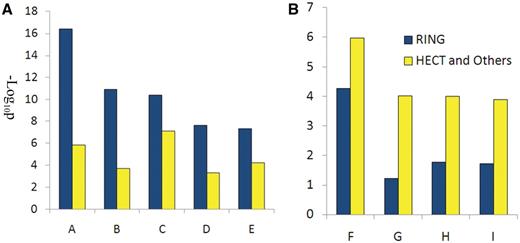 Functional analysis of RING E3s, HECT and other E3s. (A) Biological processes enriched by RING E3s; (B) biological processed enriched by HECT and other E3s. A, regulation of apoptosis; B, apoptosis; C, cellular response to stress; D, cell cycle; E: response to DNA damage stimulus; F: positive regulation of macromolecule metabolic process; G: positive regulation of transcription; H: positive regulation of RNA metabolic process; I: positive regulation of gene expression.