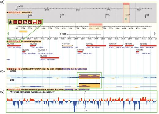A Yeast Genome Map screenshot. Box (a) magnifies the tool bar present on each displayed data track. This tool bar can be used to customize one's browsing experience. From left to right, the buttons are ‘favourite’, ‘minimize’, ‘close’, ‘share track’, ‘edit track display’, ‘save track’ and ‘about this track’. The ‘favourite’ button selects the track as a favourite for easy future access. The minimize’ and ‘close’ buttons perform those respective actions on the selected data track. The ‘share track’ button provides URL links that can be copy and pasted into the address bar of another web browser or other GBrowse instances. The ‘edit track display’ button allows one to change the track properties, including glyph shapes, colours and scale. The ‘save track’ button allows for the data track to be saved for the displayed region, the entire chromosome, or the entire dataset. Lastly, the ‘about this track’ button provides a pop-up box with information on the originating data, including the publication citation, the strain(s) used and links to supplementary data files and documentation on the SGD download page. Box (b) and (c) show examples of different glyph types that can be used to display different data types. In this instance, box b shows ORC and MCM2 ChIP-chip data from Xu et al. (47) using the ‘vista_plot’ glyph, which allows superimposition of segment data such as peak calls over continuous data values. Box (c) shows normalized nucleosome occupancy as determined by Kaplan et al. (48) using the ‘wiggle_whiskers’ glyph, which standardizes display of continuous data as z-scores about the mean (x-axis).