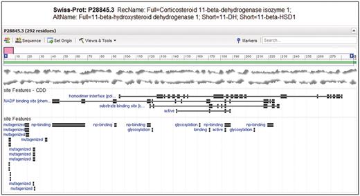Entrez Protein graphical sequence view for SwissProt sequence P28845.3, gi|118569. At the bottom of the view, site annotation (labeled ‘site Features’) from CDD and as encountered in the original record are visible on top of each other. Note that CDD annotates the homodimerization interface, substrate and cofactor binding sites and active site as relatively large sets of disjoint residue positions. The homodimer interface annotation is not present in the original annotation, but it provides unique labeling of glycosylation sites.