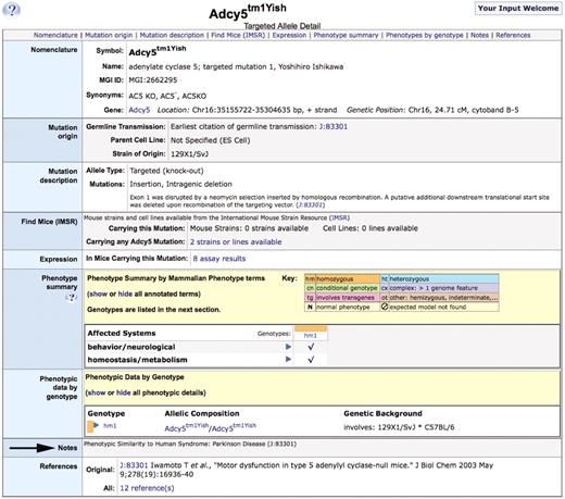 Allele detail page for Adcy5tm1Yish, arrow indicates the structured text disease annotation in the ‘Notes’ section of the page.