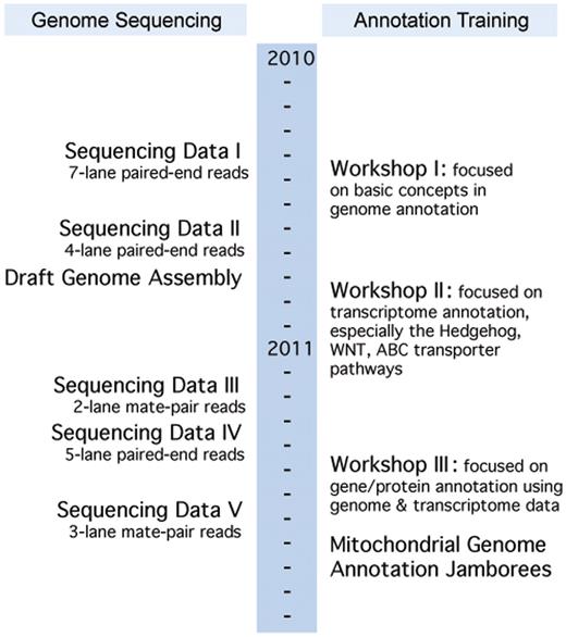 Little Skate Genome Project's timeline indicating the simultaneous annotation training and genome development. Sequencing Data Sets I: seven lanes of paired-end reads; II: four lanes of paired-end reads; III: two lanes of mate-pair reads; IV: five lanes of paired-end reads; V: three lanes of mate-pair reads. There are a total of 2 931 925 134 reads.