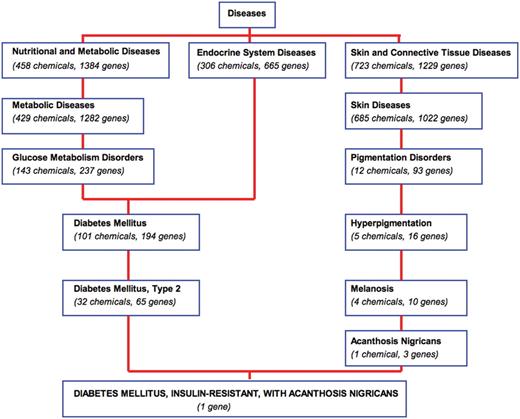Navigating MEDIC and its curated data. A bird's eye view of a section of MEDIC provides users with the ability to navigate and explore disease terms, relationships, and their associated CTD data. The disease ‘DIABETES MELLITUS, INSULIN-RESISTANT, WITH ACANTHOSIS NIGRICANS’ (OMIM:610549) is a leaf of ‘Diabetes Mellitus, Type 2’ (MESH:D003924) and ‘Acanthosis Nigricans’ (MESH:D000052). Chemicals and genes annotated to each MEDIC term are cumulated as the user navigates up to more broad concepts.