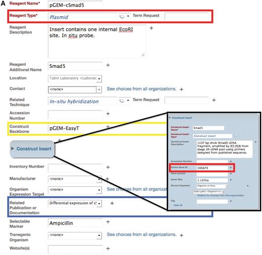 Example of an annotation form in the Data Collection Tool for the plasmid reagent type. (A) The Data Collection Tool contains annotation fields that are auto-populated using the ontology (red box) and free text (yellow box). Fields in the Data Collection Tool can also link records to other records in the repository, such as related publications or documentation (blue box). Users can request new terms be added to the ontology using the Term Request field. Inset: Construct insert is an embedded class in the plasmid form and contains information that corresponds to other databases, such as Entrez Gene ID. (B) The search result upon searching for this specified plasmid. Only the fields that are filled out in the data tool are displayed in the search interface. Search results can be returned for this plasmid by searching on any of the fields that are annotated for this record. Text that is colored blue links to other records in the search interface. Hovering over the ‘i’ icons displays the ontological definition of the term, as in the example of the technique, in situ hybridization.