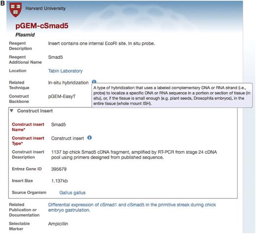 Example of an annotation form in the Data Collection Tool for the plasmid reagent type. (A) The Data Collection Tool contains annotation fields that are auto-populated using the ontology (red box) and free text (yellow box). Fields in the Data Collection Tool can also link records to other records in the repository, such as related publications or documentation (blue box). Users can request new terms be added to the ontology using the Term Request field. Inset: Construct insert is an embedded class in the plasmid form and contains information that corresponds to other databases, such as Entrez Gene ID. (B) The search result upon searching for this specified plasmid. Only the fields that are filled out in the data tool are displayed in the search interface. Search results can be returned for this plasmid by searching on any of the fields that are annotated for this record. Text that is colored blue links to other records in the search interface. Hovering over the ‘i’ icons displays the ontological definition of the term, as in the example of the technique, in situ hybridization.