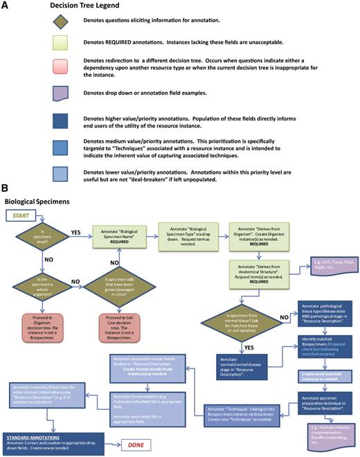 Decision trees were used to assist with data collection and curation. (A) Decision tree legend. (B) The decision tree for biological specimens. Required and highly desired fields are indicated by green and blue colors, respectively. Each resource type had 2–3 required fields, between 4–8 highly desired fields and the other fields were considered optional or applied only to specific subtypes of resources.