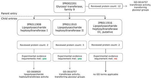 Application of GO molecular function terms to IPR002201 and its child entries. IPR002201 is a more general entry, which encompasses the proteins matched by its three child entries, IPR011908, IPR011910 and IPR011916. The increased specificity of the child entry can be reflected in the GO annotation; IPR011908 has a more specific Molecular Function term than the parent entry IPR002201.