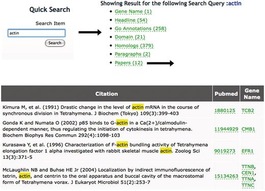 Using the Quick Search tool at TGD Wiki. Entering a search term (‘actin’ in this example) returns the list of annotation types shown at TGD Wiki and the number of times the term appears in each category. Following the links to these annotation types shows the entry where this term is found and lists the genes it is used to annotate. In this case, 12 articles mention the word ‘actin’ in the title. Following the ‘Papers’ link shows their citation information, links to Pubmed and links to the Gene Pages of the specific genes mentioned in each paper.