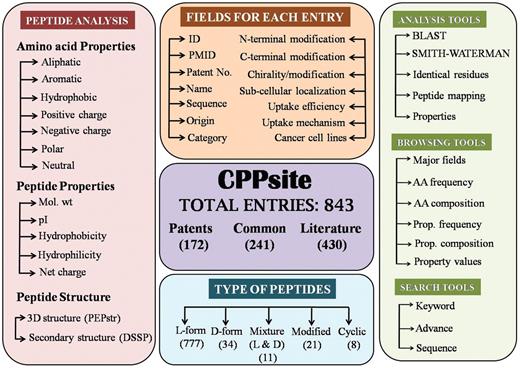 Overall architecture of CPPsite database.