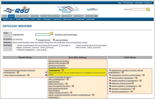 New RGD ontology browser. Terms are displayed in a driller format with each term being selectable such that the selected term is highlighted and placed in the center column with all of its sibling terms. The selected term’s definition is shown both highlighted under the term in the center column and also at the top of the page. All parent terms of the selected term are listed in the left column and child terms of the selected term are listed in the right column. For any term that has annotations to it in RGD, the ‘A’ icon is a link to an ontology report page listing all RGD annotations to that term.