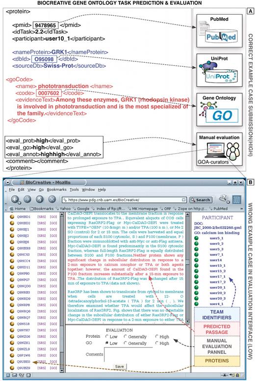 Example predictions of the GO task of BioCreative I. (A) Here a correct prediction is shown, containing the information on the corresponding document, protein and GO term as well as the supporting evidence text passages extracted automatically from the full-text article. (B) Example prediction (wrong) showing a screen shot of the original evaluation interface developed at the time for this task (based on Apache/PHP). The original evaluation application is not functional anymore and was implemented specifically for this task. Proteins and GO terms were defined unambiguously through corresponding standard identifiers. The database curators manually evaluated both the correctness of the protein as well as the GO terms.