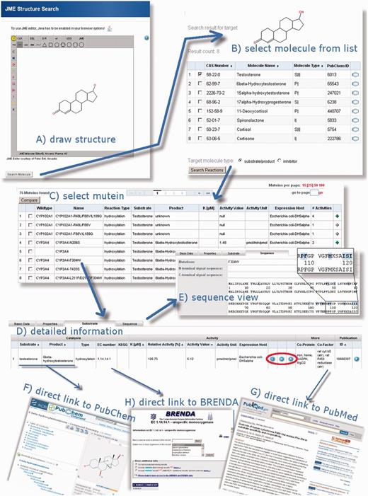 MuteinDB structure search, its results and the capabilities of the MuteinDB webinterface. (A) The MuteinDB (sub) structure search uses the JME editor, which allows users to draw arbitrary molecular structures. (B) The user-drawn structure is used as seed for the following database search and shown on top of the structure search result table. In this table all molecules, substrates, products or inhibitors which contain the query structure are presented. A selection of these molecules can be used for a subsequent ‘Search by Reaction’. (C) All wild type enzymes and muteins which catalyze the selected molecules are shown. (D) For each row of the tabular result, further information can be obtained via the mutein or wild type name. The detailed information is organized in four main categories: (i) basic data; (ii) properties; (iii) substrate and (iv) sequence. (E) The ‘Sequence’ tab of the selected mutein allows to explore the sequence of the mutein as well as the wild type sequence. Known mutations are highlighted and linked to the corresponding entries of MuteinDB. (F) Information in the ‘Substrate’ tab is linked to third party databases. For example, (F) molecules are linked to PubChem, (H) EC-Numbers to Brenda and (G) literature to PubMed or to its DOI location. For muteins, experimental settings and wild type activity values are available from the ‘Substrate’ tab.