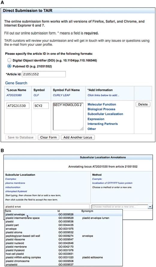 The TOAST interface. (A) Initial page that requests stable article identifiers and locus identifiers. Users can then add annotations in six different areas, five of which are controlled vocabularies. (B) The subcellular localization data entry form. Submissions are aided by an auto-complete functionality which suggests terms that match the user's entry. Once selected, the appropriate stable id for the ontology term is also captured but not displayed to the submitter. Users can also enter terms not in the suggestion list. (C) Form with data ready for submission. At this stage the user may add additional loci or annotations or complete the submission process by saving to the curation database.
