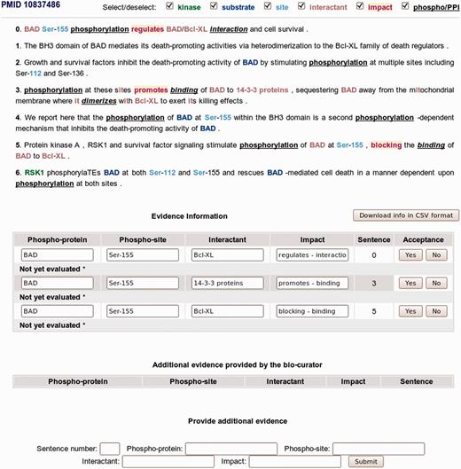 eFIP annotation interface with sentence evidence attribution of phosphorylated protein and interaction events in PMID 10837486.