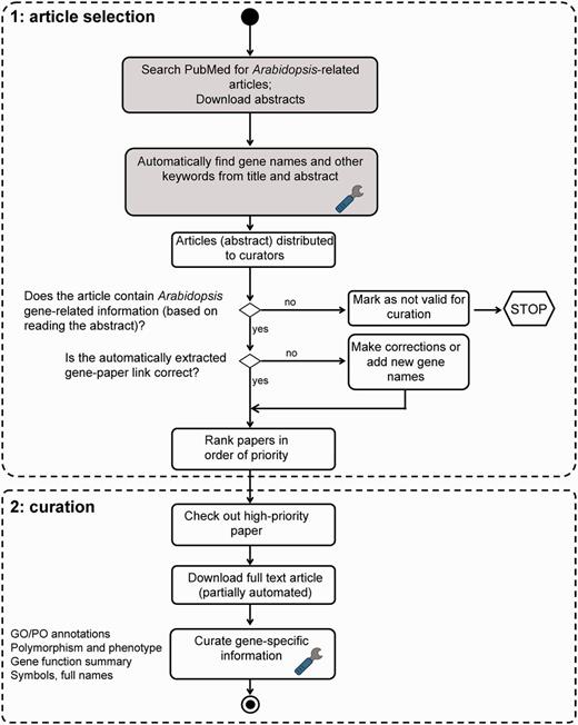 TAIR literature curation workflow. The curation process consists of both automated (shaded boxes) and manual steps. Full text PDF download is partially automated. PubSearch automatically downloads PDFs from selected journals, other articles not retrieved by PubSearch are manually downloaded by curators. Potentially curatable papers are identified by searching PubMed for ‘Arabidopsis’. Gene names are automatically identified from abstracts, then manually verified by curators. Articles that contain Arabidopsis gene-related information are flagged by curators for manual curation. Paper ranking is based on a combination of journal impact factor and manual prioritization. Papers describing previously uncharacterized genes are given the highest priority. Curators then proceed to extract comprehensive gene-specific information from high-priority papers. Steps that involve text mining are indicated by the wrench icon.